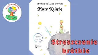 "Mały Książe " Streszczenie lektury