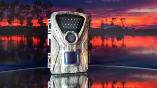 Garden Trail Camera | Before You Buy, WATCH THIS!