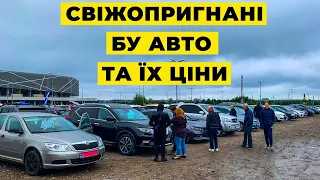 Що з цінами на авторинку у Львові. Карбазар Львів 2021