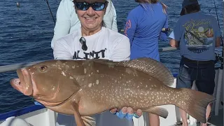 Tampa Bay fishing report: July 23, 2021