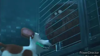 the secret life of pets underwater scene: duke's puffy cheeks