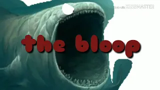 The bloop vs Julia