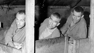 Auschwitz: Svelare gli Orrori e gli Esperimenti Umani