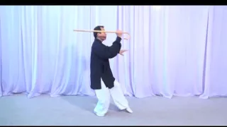 Tai Chi Cane