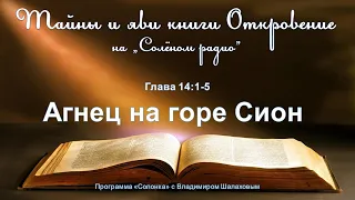 #36 Агнец на горе Сион (Откр.14:1-5). "Тайны и яви книги Откровение" в программе "Солонка"