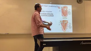 In-Person Heart Lecture (part 1) for Online 2402