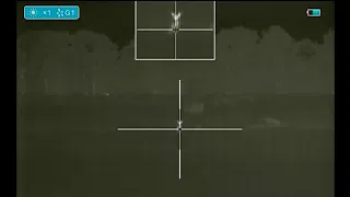 Fox, ID at 70 meters and shooting at 55 meters, Thermal Hunting Australia, Night Tech MS-42