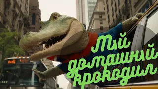 Мій домашній крокодил - трейлер українською/ Фільми українською