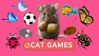 CAT Game - Collection Of Fun Games For Cats - Cat TV 🐝🐞🦋🦜🐭🧵