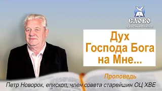 Дух Господа Бога на Мне. Петр Новорок, епископ, старейшина ОЦ ХВЕ.