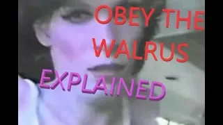 Obey The Walrus (Explained)