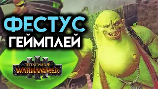 Фестус Total War Warhammer 3 (геймплей на русском)