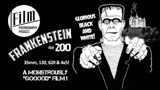 FPP Frankenstein 200 BW Film! / 35mm - 120 - 4x5