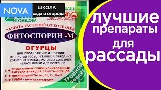 Стимуляторы роста растений. Как правильно применять стимуляторы роста растений.NOVA