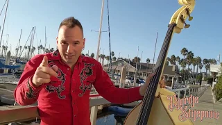 JOLENE (Upright Slap Bass Cover) by Dolly Parton- Djordje Stijepovic