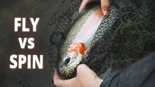 Fly Vs. Spin - Autumn Fishing In Ultra Clear Trout Lake!