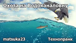 Технопранк от Matsuka23 - Охота на Водоканаловну