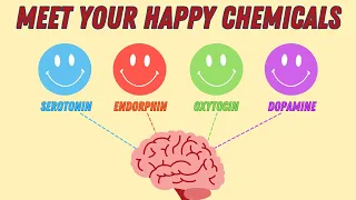 How to Boost Your HAPPINESS HORMONES (Serotonin, Endorphin, Oxytocin, Dopamine)