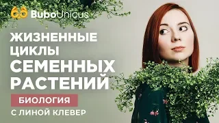 ЖИЗНЕННЫЕ ЦИКЛЫ СЕМЕННЫХ РАСТЕНИЙ | ЕГЭ Биология | Лина Клевер