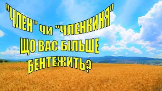 26. Що таке фемінітиви?