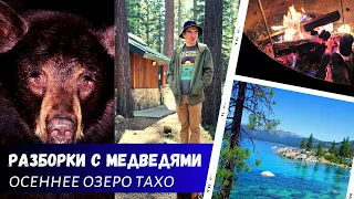 Ночные разборки с медведями / Озеро Тахо осенью / Песни у костра / Влог США