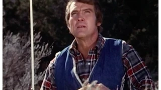 "Catch the eagle, Six Million Dollar Man"