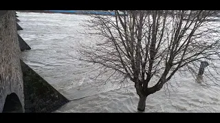 Hochwasser Koblenz Mosel 4. Februar 2021