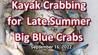 Kayak Crabbing for Late Summer Big Blue Crabs 09-16-2022