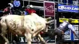 Cowboy Viciously Knocked Out by Bull