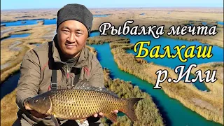 [2К] Рыбалка в дельте Или | Рыбалка в Казахстане | Балхаш | р.Или | Рыбалка2021