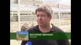 Передача Аграрный вопрос о нашей ферме "Благословение"