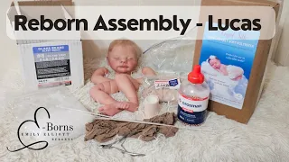 Assembling Reborn Baby Lucas