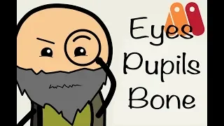 How To Make Animation and rigging Eyes / Pupils Using Bones in Anime Studio Pro 10/11 (Moho 12)