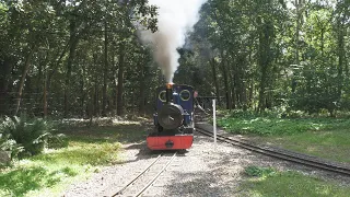 Exbury Gardens Steam Railway 22/8/21