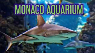 Oceanographic museum of Monaco 2021 update (aquarium)