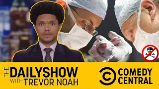 Pig revivals 🐖 | The Daily Show | Comedy Central Africa