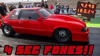 4 SEC FOX BODY MUSTANGS WERE EVERYWHERE!!