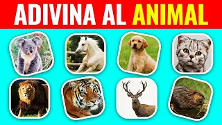 Adivina 40 ANIMALES 🐻🐜| ¿Cuánto sabes de ANIMALES? 😎✅ | PlayQuiz Trivia