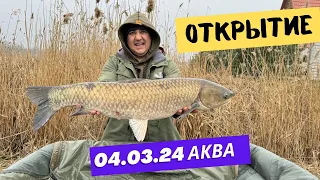 Открытие 2024 #carpfishing ранней весной по холодной воде !!! Аква Сити Одесская обл. #carpdesign