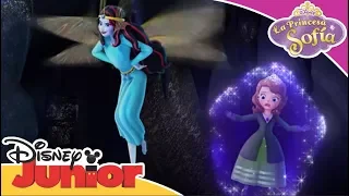 La Princesa Sofía: Momentos Especiales - Fliegel | Disney Junior Oficial