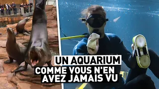 UN AQUARIUM COMME VOUS N'EN AVEZ JAMAIS VU