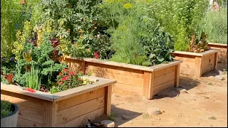 Raised Garden Beds DIY: From Blank Yard to Thriving Garden