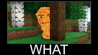 Minecraft WAIT WHAT meme #64