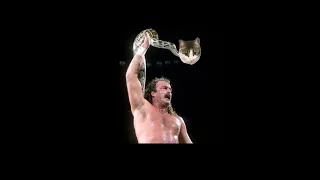 Jake "The Snake" Roberts - Snake Bit Entrance Theme (Cover)