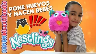 NESTLINGS de Goliath! Pone HUEVOS y nacen sus BEBÉS. Nuevos Juguetes 2019