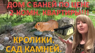 Питание кроликов весной. Трава для кроликов. Племенные кролики. Сад камней.