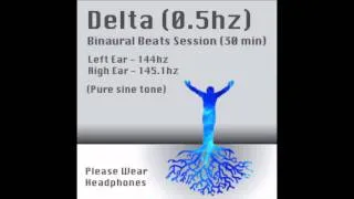 Delta Binaural Beats Session (0.5hz) - pure