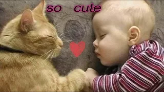 قطط رائعة تلعب مع الأطفال مقاطع جد مضحكة     cats play with children very funny clips