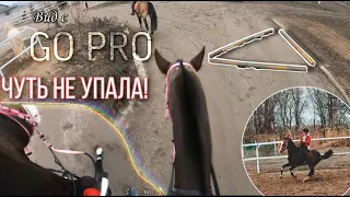 Конный спорт от первого лица| Работа с Трампом| Чуть не упала!