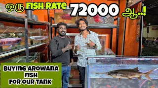 EXOTIC FISH 🐟 SHOP VISIT & BUYING AROWANA FOR OUR TANK ‼️-|SAFIQ'S THOUGHT |